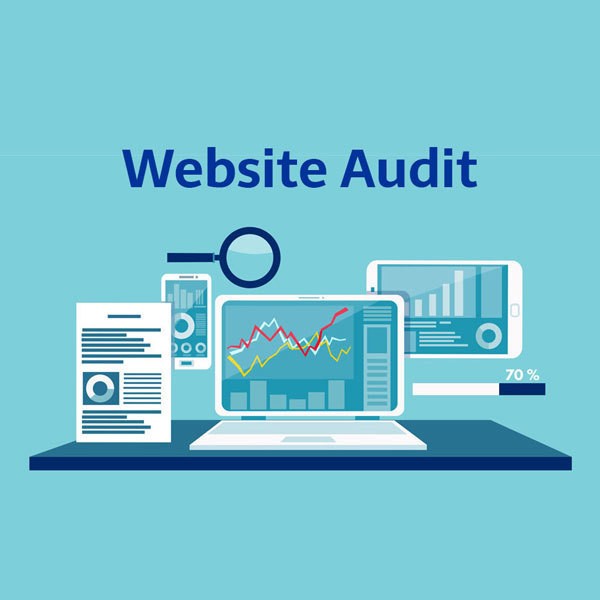 Website-Audit