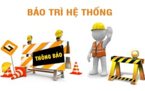 dịch vụ bảo trì website