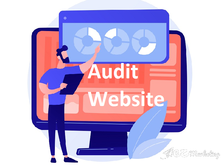 Audit Website là gì