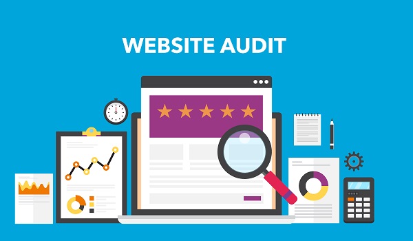 Audit Website 